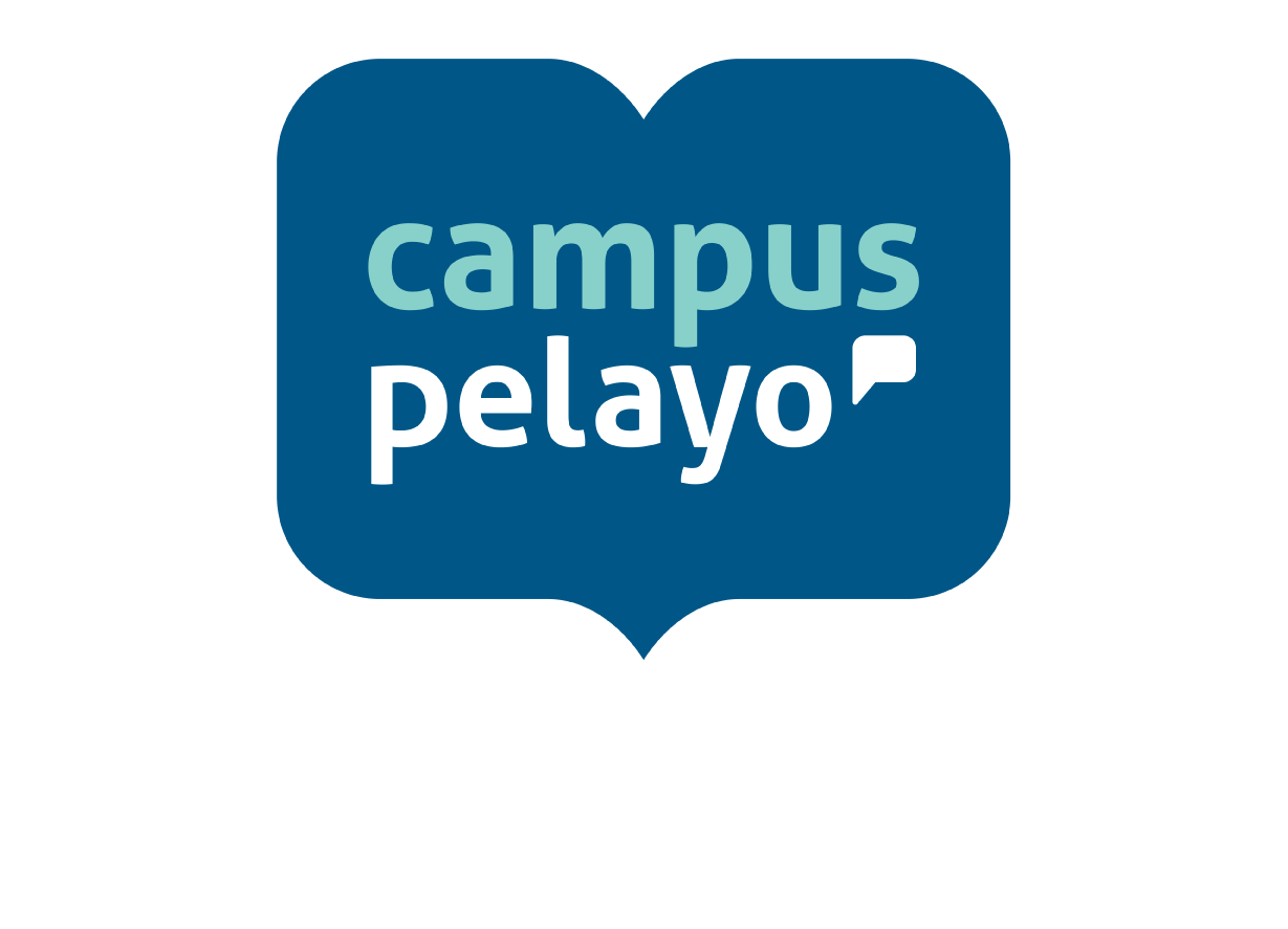 Logo footer